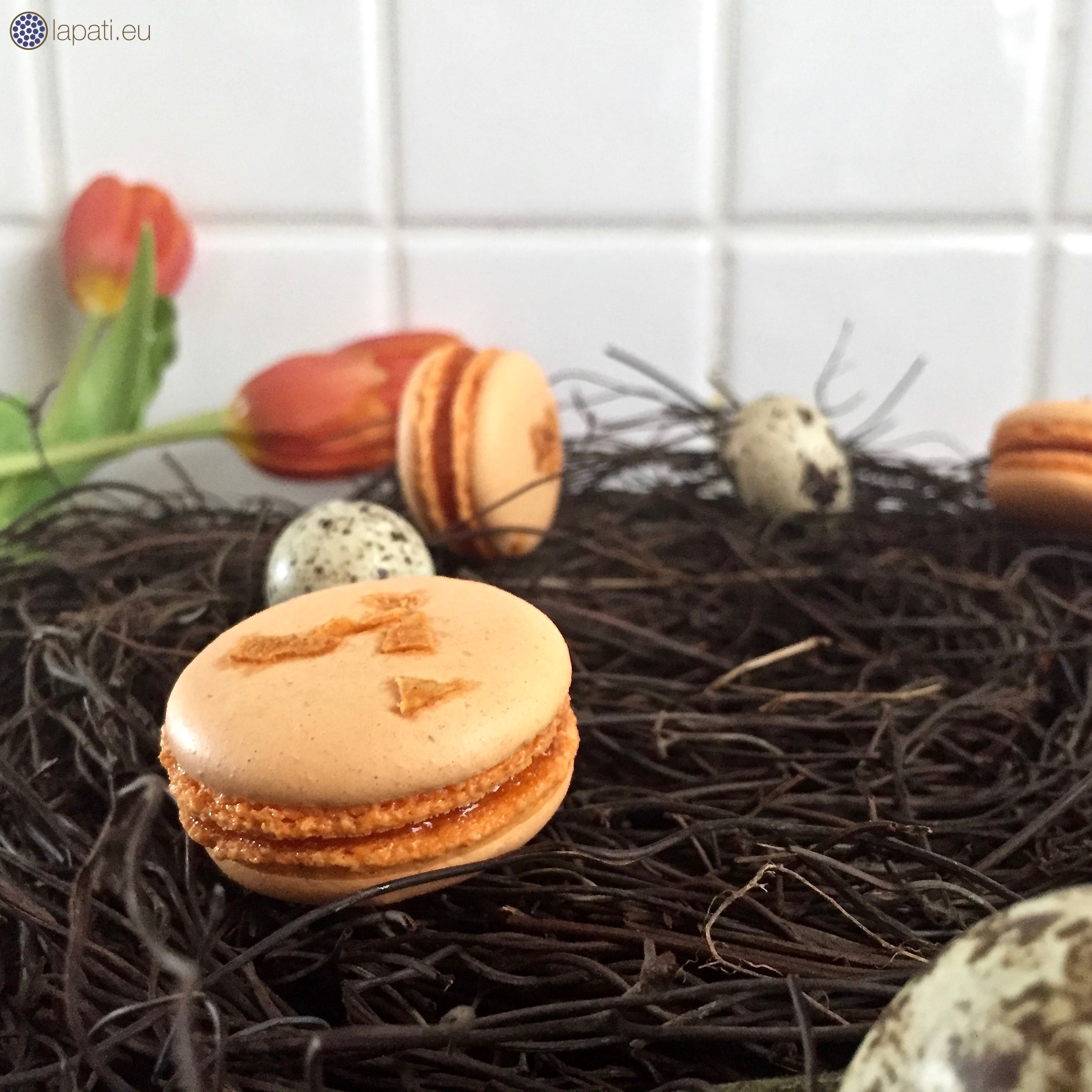 Karotten-Zitronen-Macarons - Ostern auf LAPATIsserie