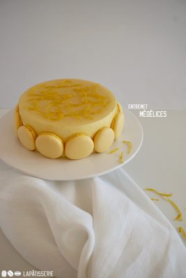 Ein feines Entremet mit Zitrone, Kern aus Haselnuss mit Knusper und zarten Macaronschalen.
